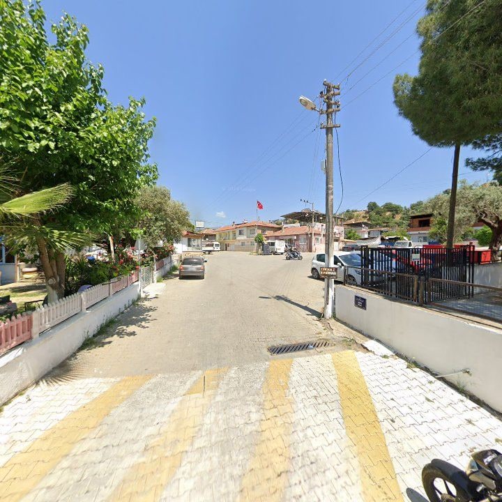 Fotoğraf 8