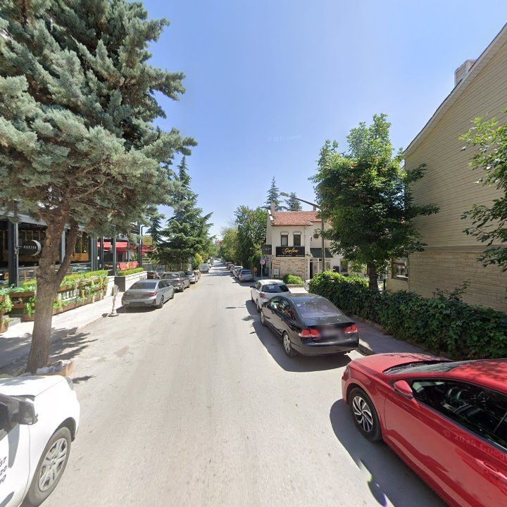 Fotoğraf 13