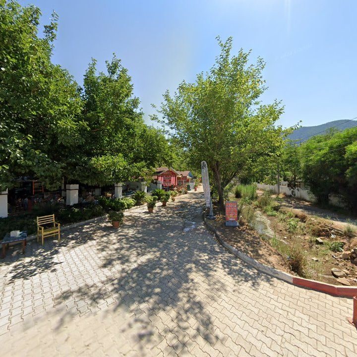 Fotoğraf 9