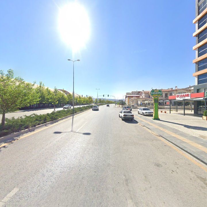 Fotoğraf 9