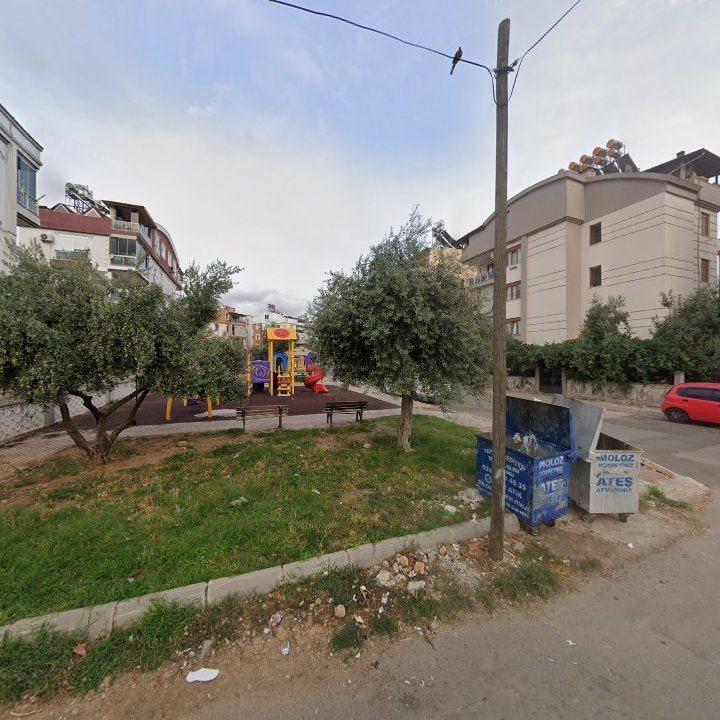 Fotoğraf 8