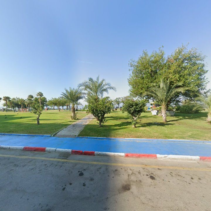 Fotoğraf 10