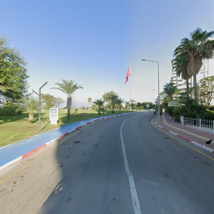Fotoğraf 11