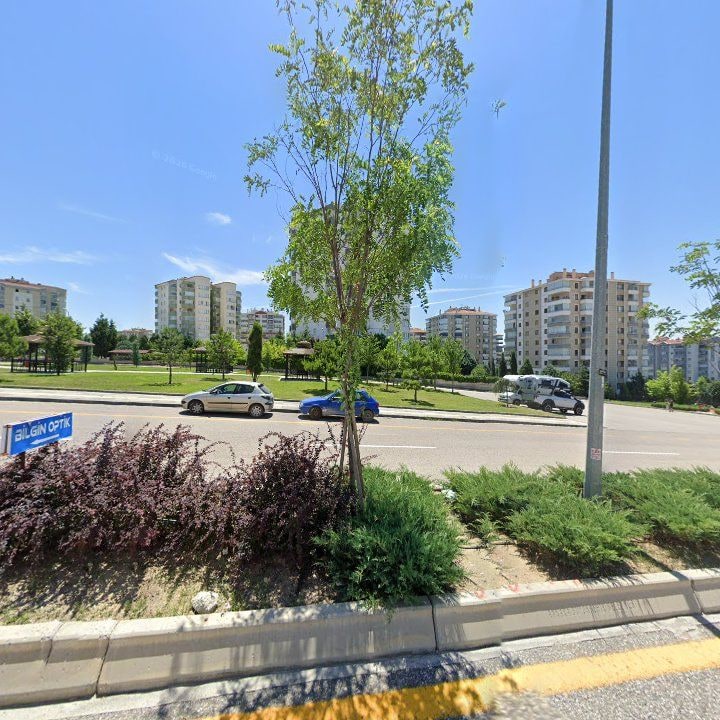 Fotoğraf 12