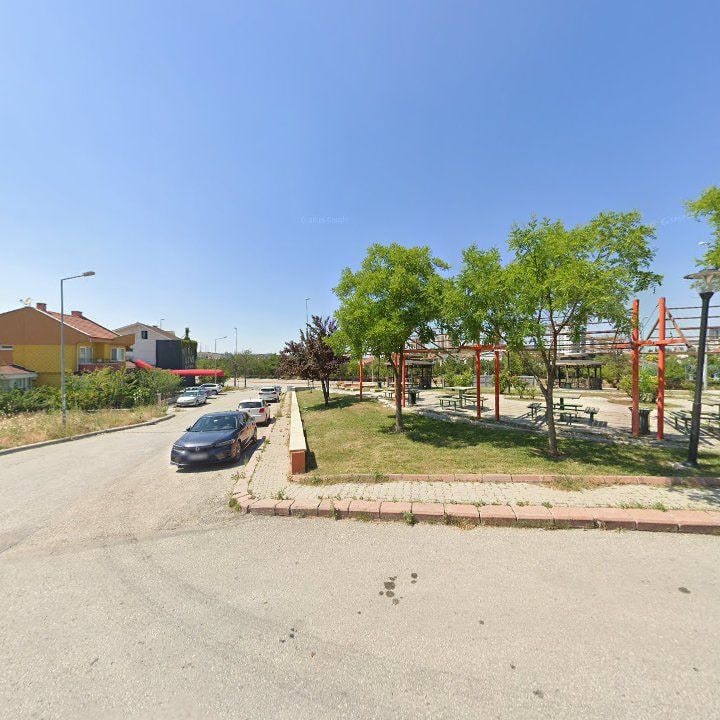 Fotoğraf 10