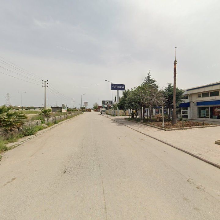 Fotoğraf 9