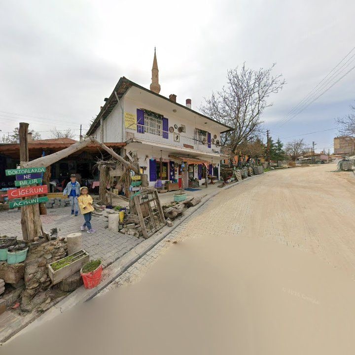 Fotoğraf 7