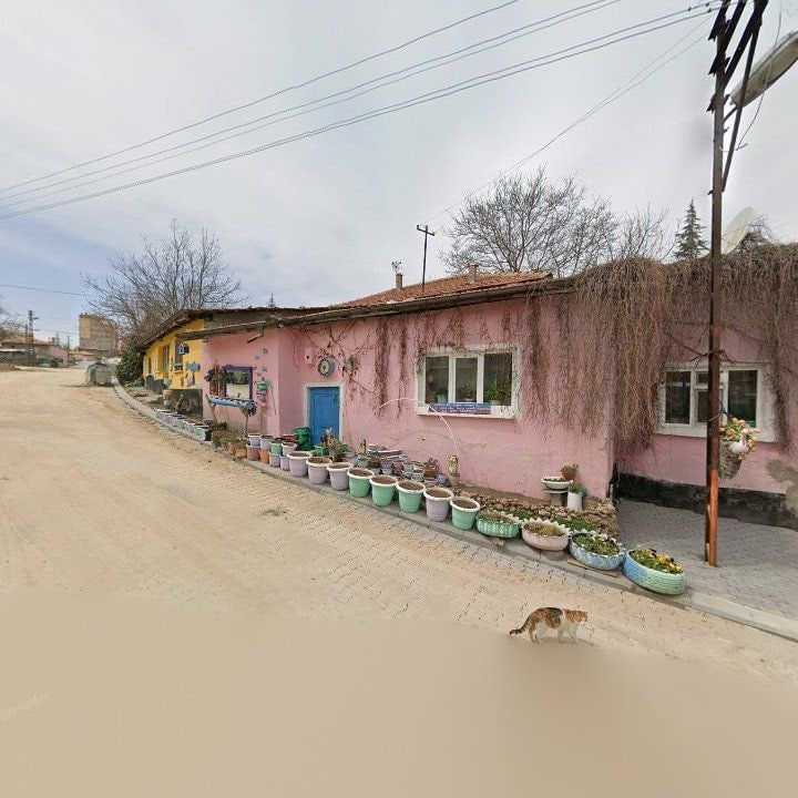 Fotoğraf 8