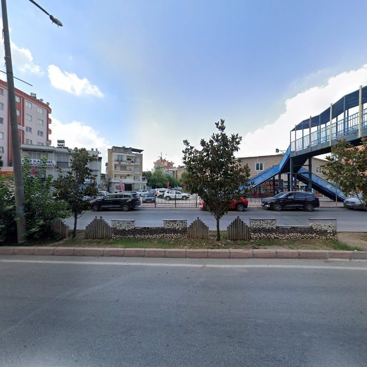 Fotoğraf 11