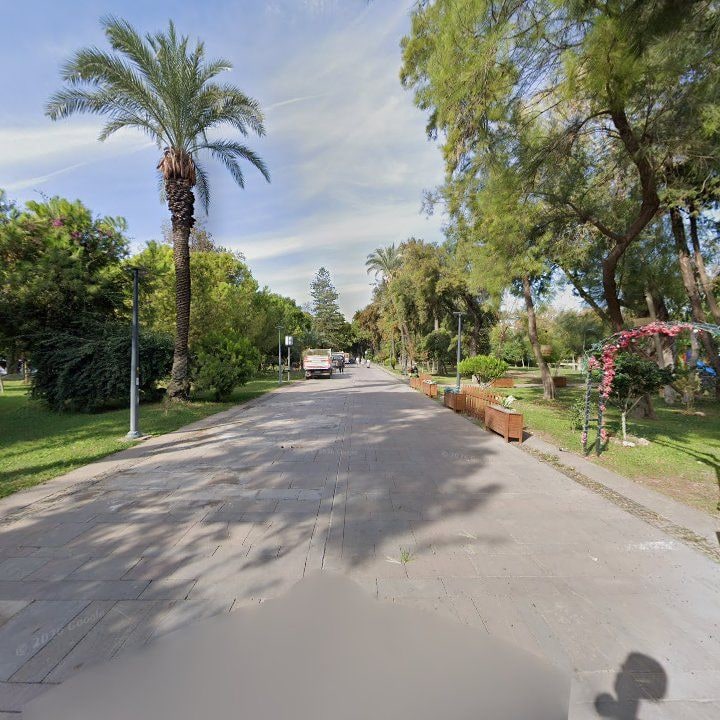 Fotoğraf 9