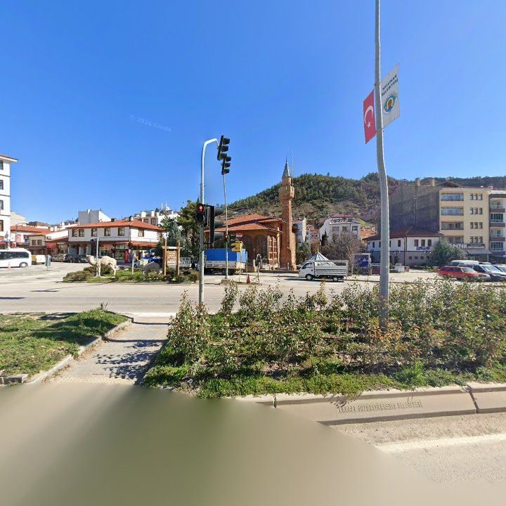 Fotoğraf 7