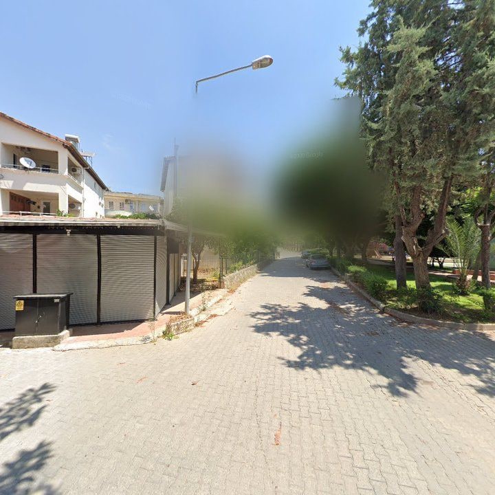 Fotoğraf 11