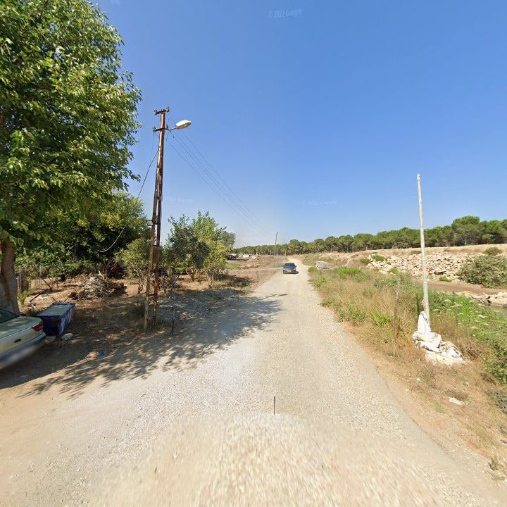 Fotoğraf 10