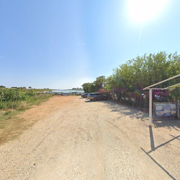 Fotoğraf 12