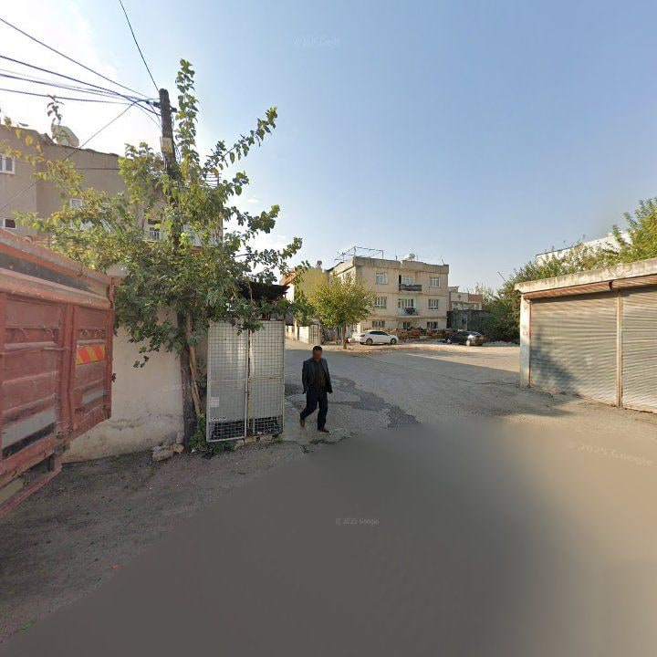 Fotoğraf 4
