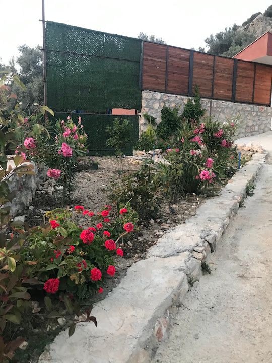 Rizeli'nin Yeri