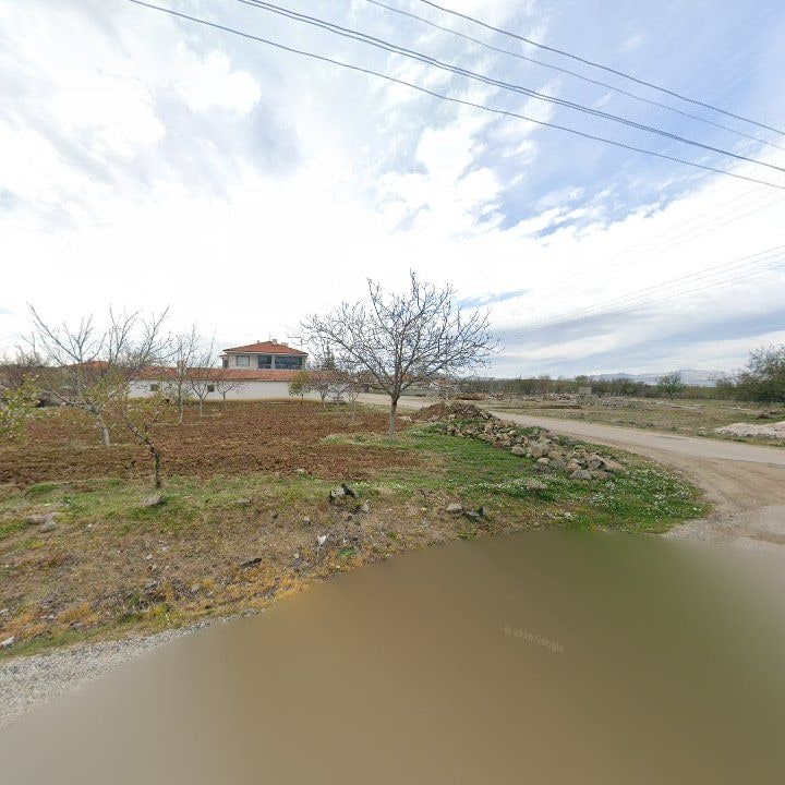 Fotoğraf 6