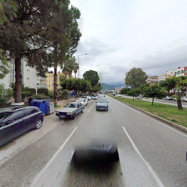 Fotoğraf 12