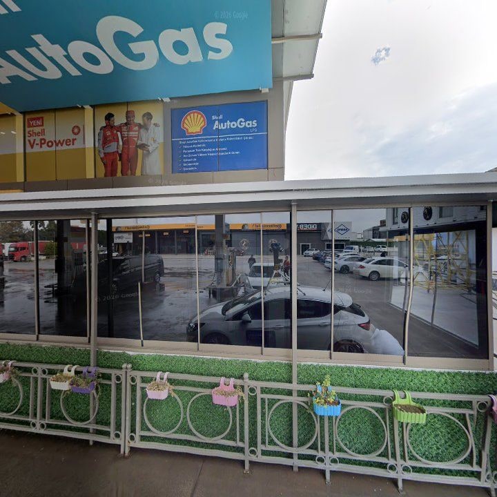 Fotoğraf 9