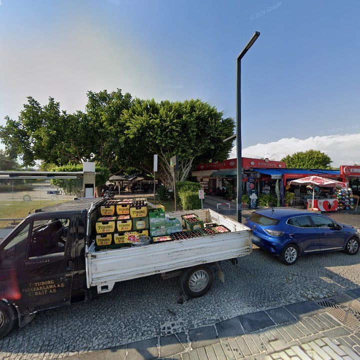 Fotoğraf 15