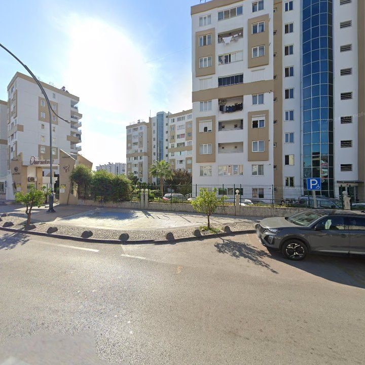 Fotoğraf 11