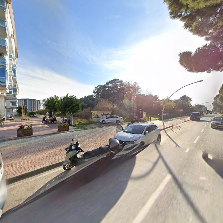 Fotoğraf 11