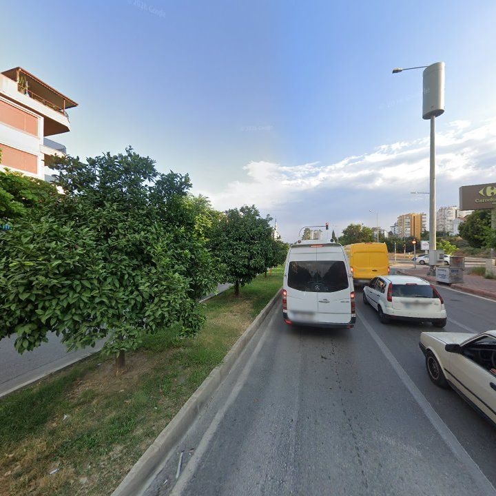 Fotoğraf 13