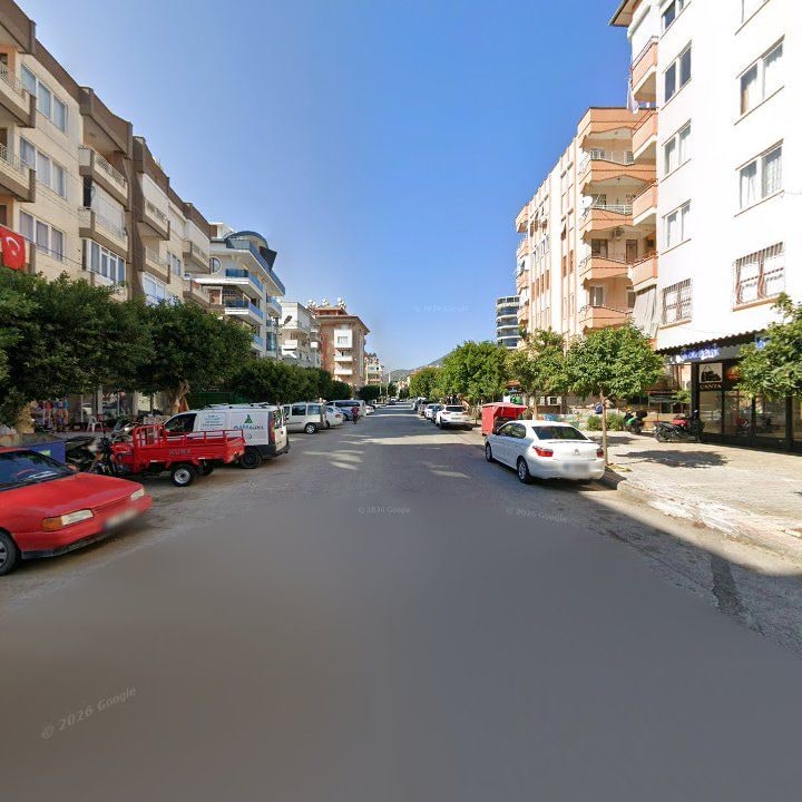 Fotoğraf 13