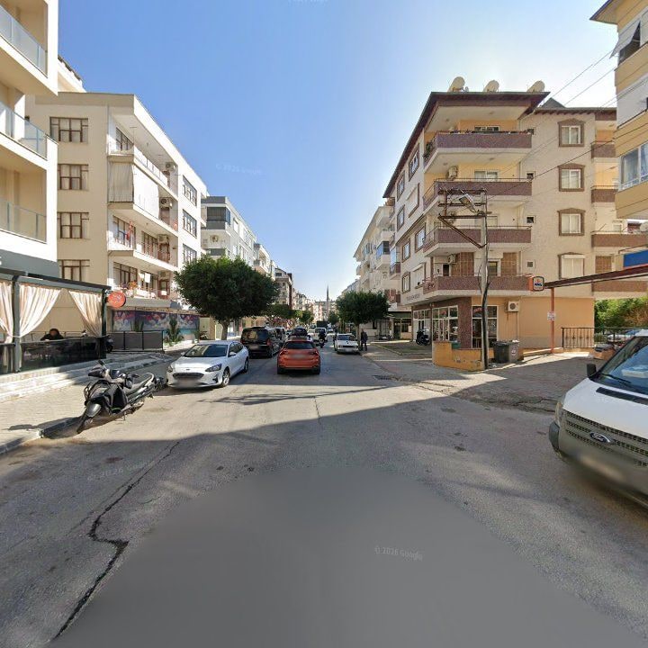 Fotoğraf 11