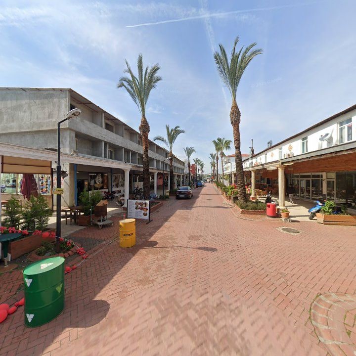 Fotoğraf 8