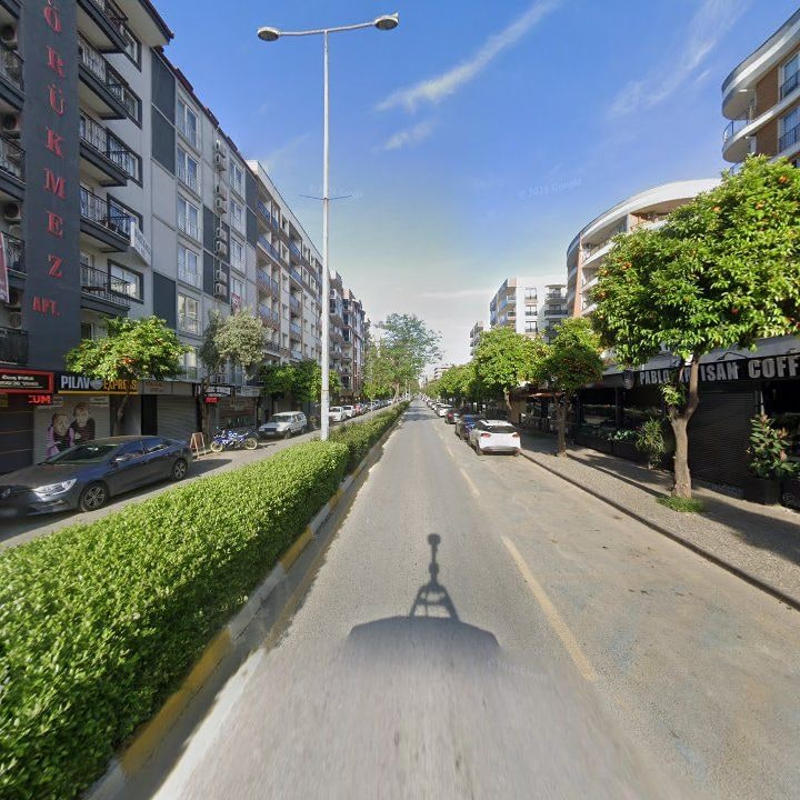 Fotoğraf 8
