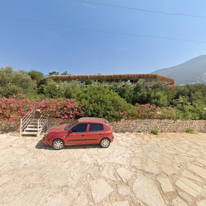 Fotoğraf 8