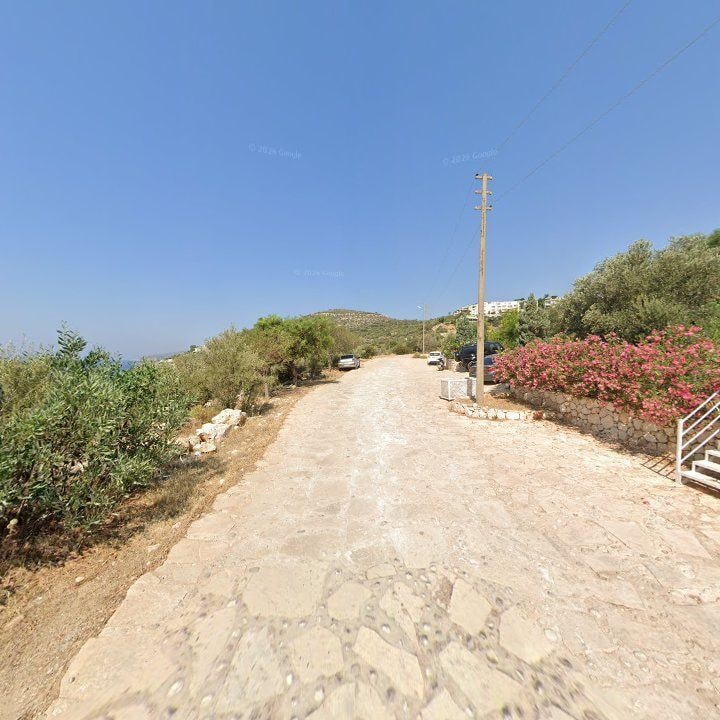 Fotoğraf 11
