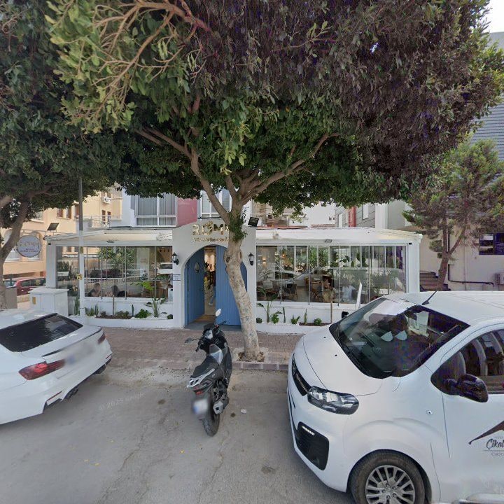 Fotoğraf 10