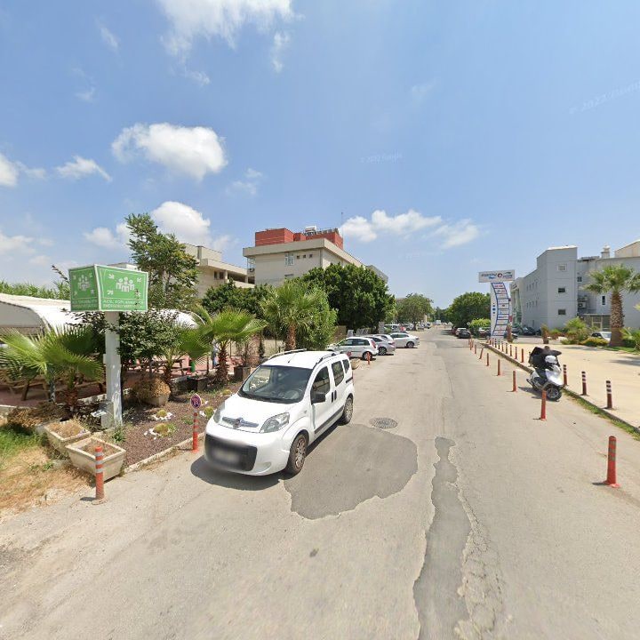 Fotoğraf 10