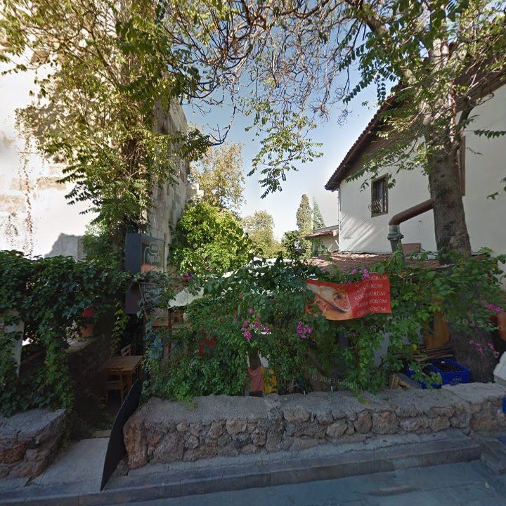 Fotoğraf 9