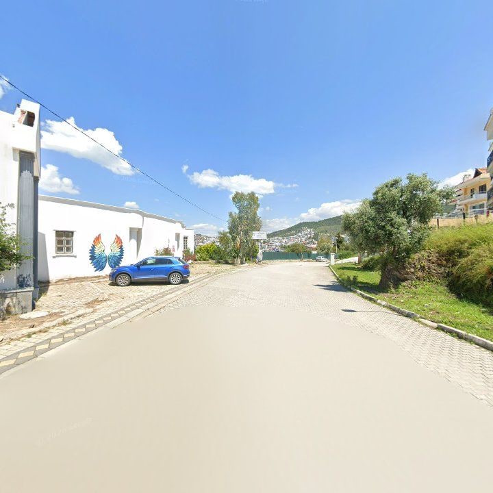 Fotoğraf 7