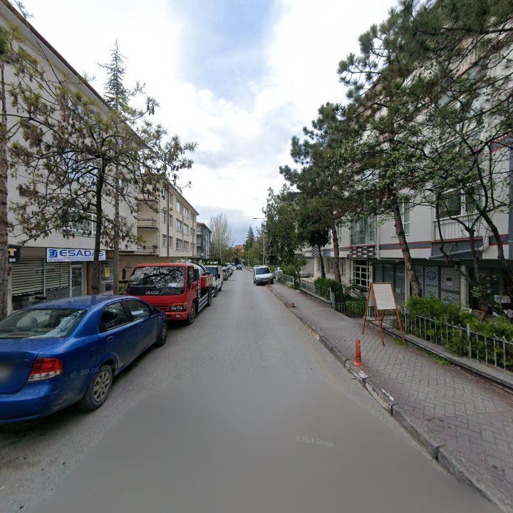 Fotoğraf 11