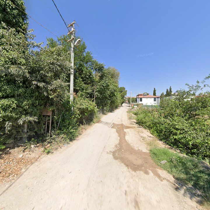 Fotoğraf 6