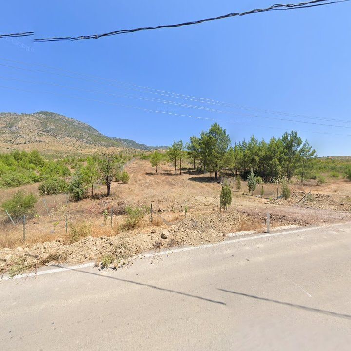 Fotoğraf 10