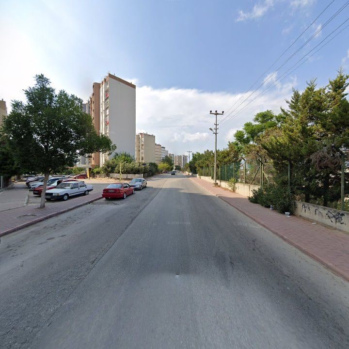 Fotoğraf 7