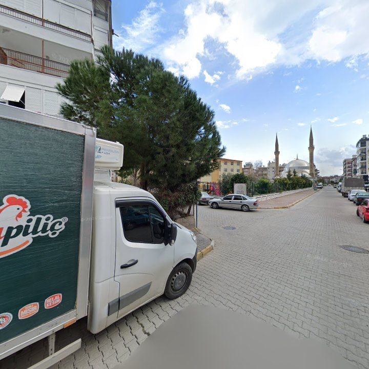 Fotoğraf 7