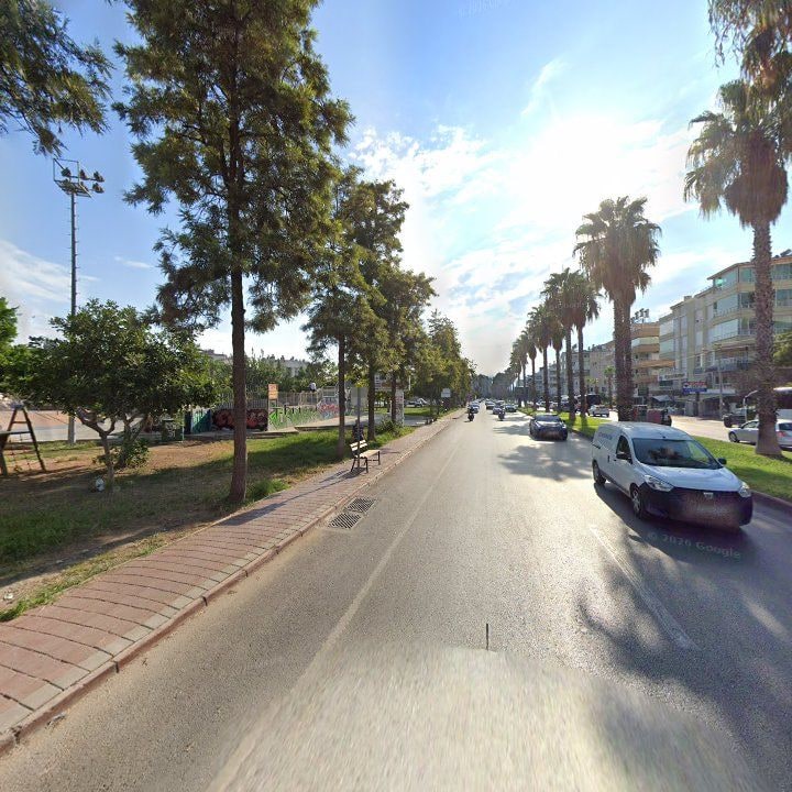 Fotoğraf 10