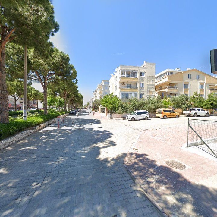 Fotoğraf 9