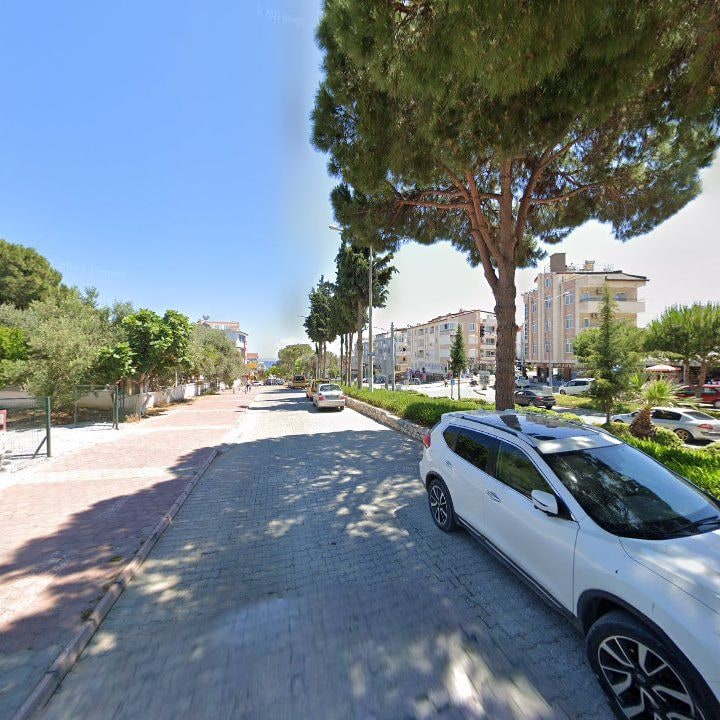 Fotoğraf 7