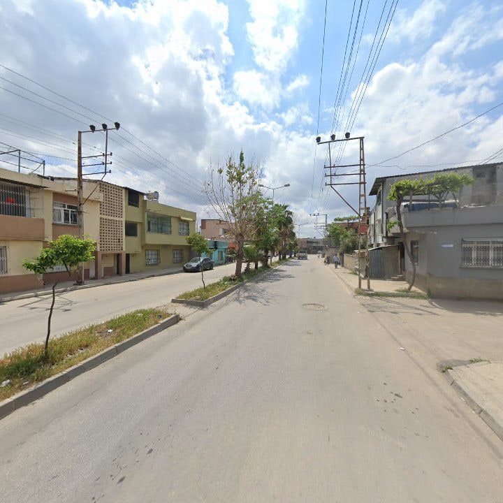 Fotoğraf 7