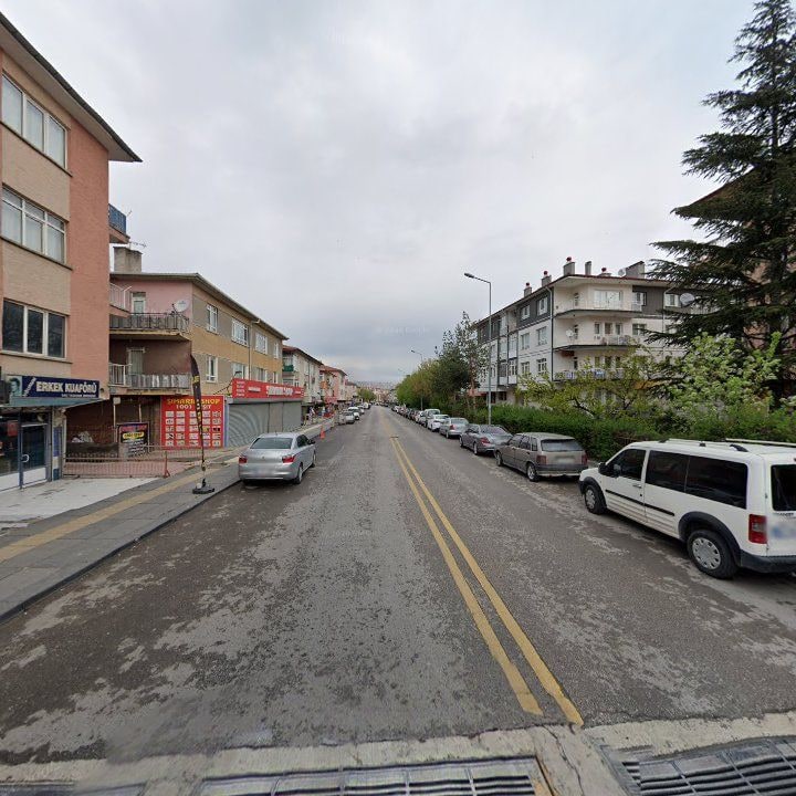 Fotoğraf 13