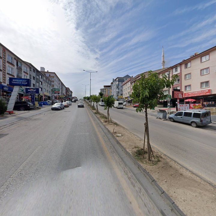 Fotoğraf 8
