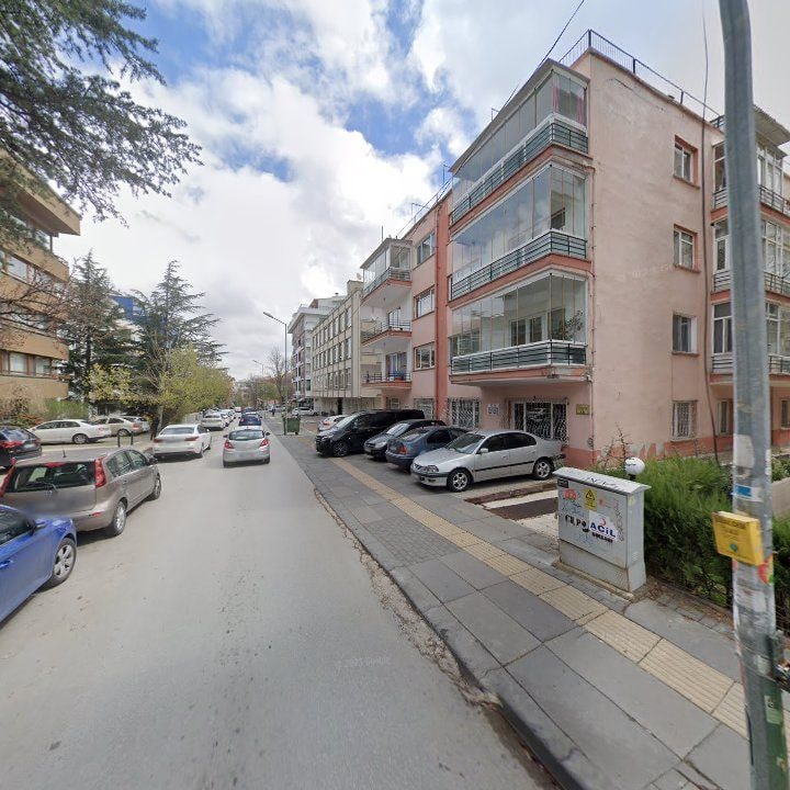 Fotoğraf 13
