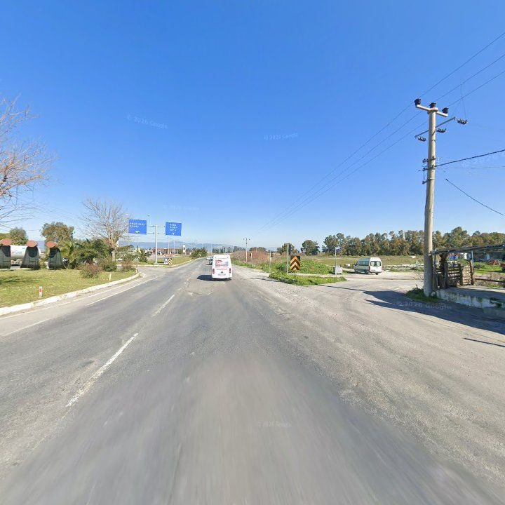 Fotoğraf 10